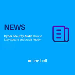 Cyber Security Audit Overview